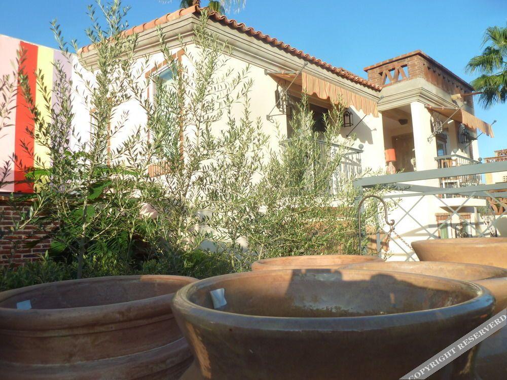 The Suites By Villa Valentina San Jose del Cabo Exterior photo