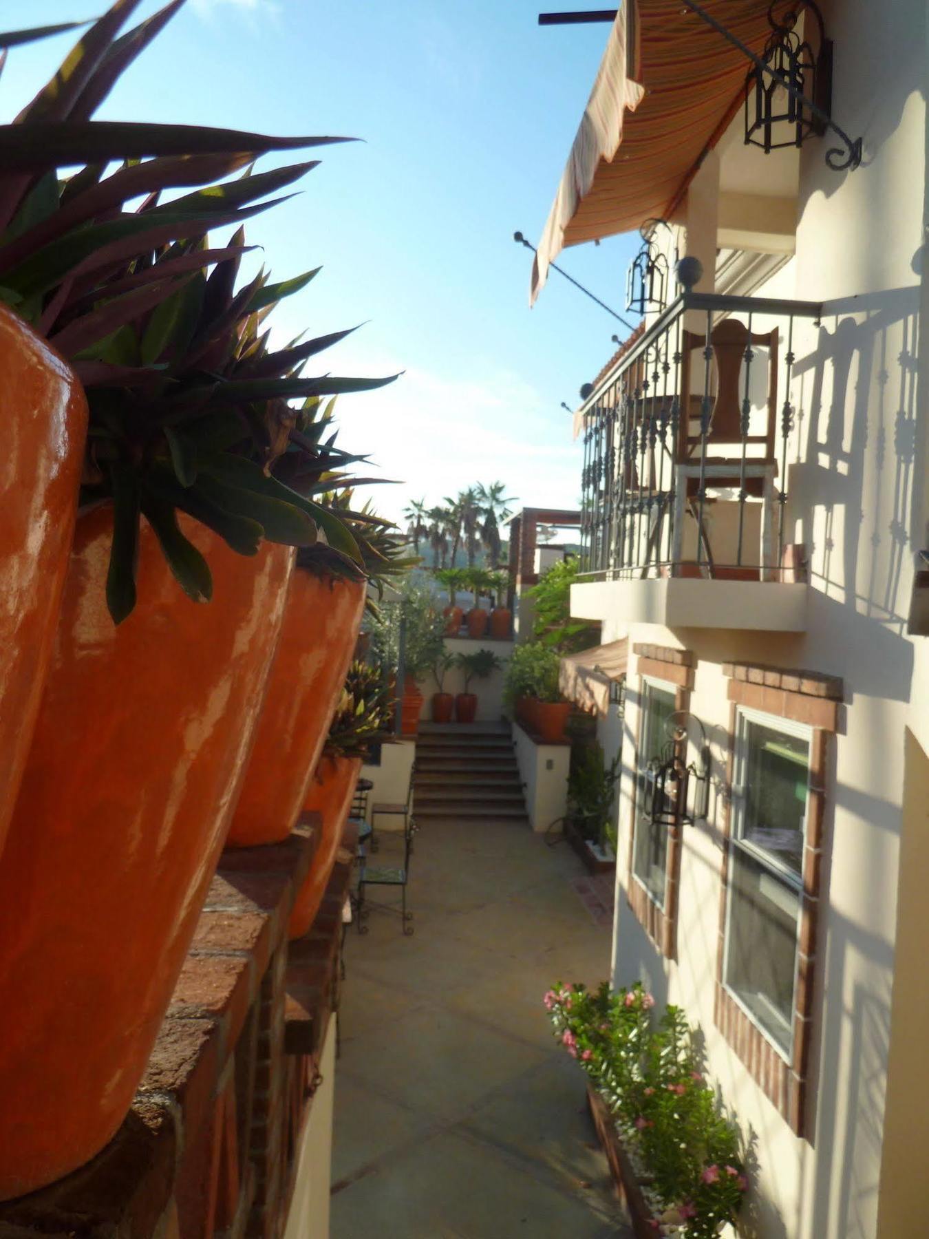 The Suites By Villa Valentina San Jose del Cabo Exterior photo